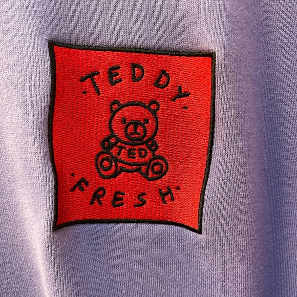 Teddy Fresh Color-block Heavyweight 100% Cotton Hoodie Size Small EUC - Picture 9 of 13